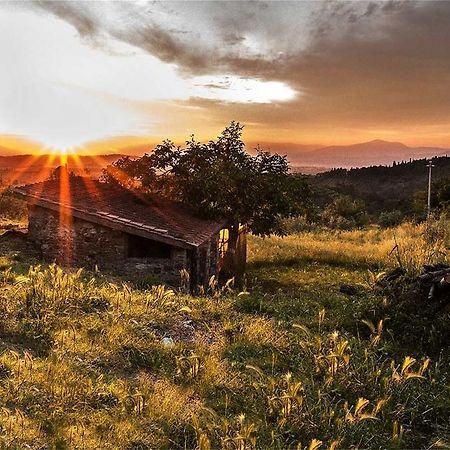 Fattoria La Tavernuzza Grassina Exteriör bild