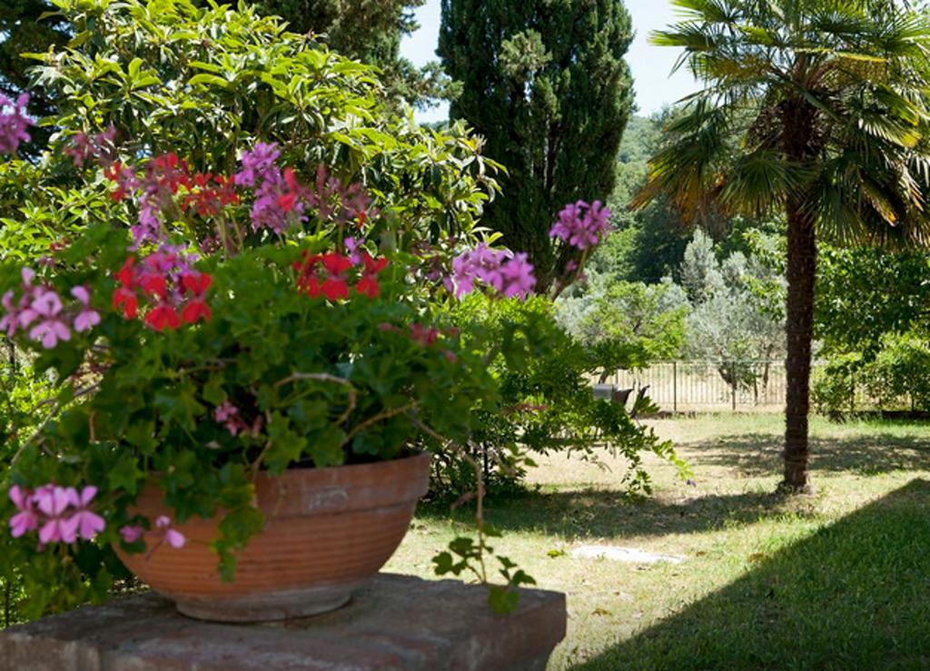 Fattoria La Tavernuzza Grassina Rum bild
