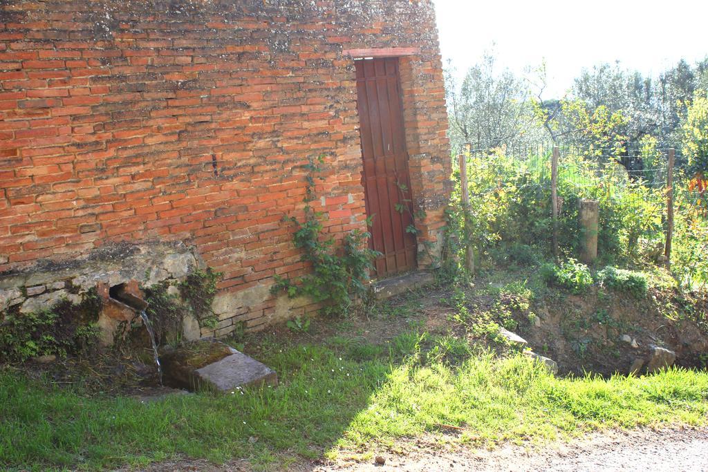Fattoria La Tavernuzza Grassina Exteriör bild