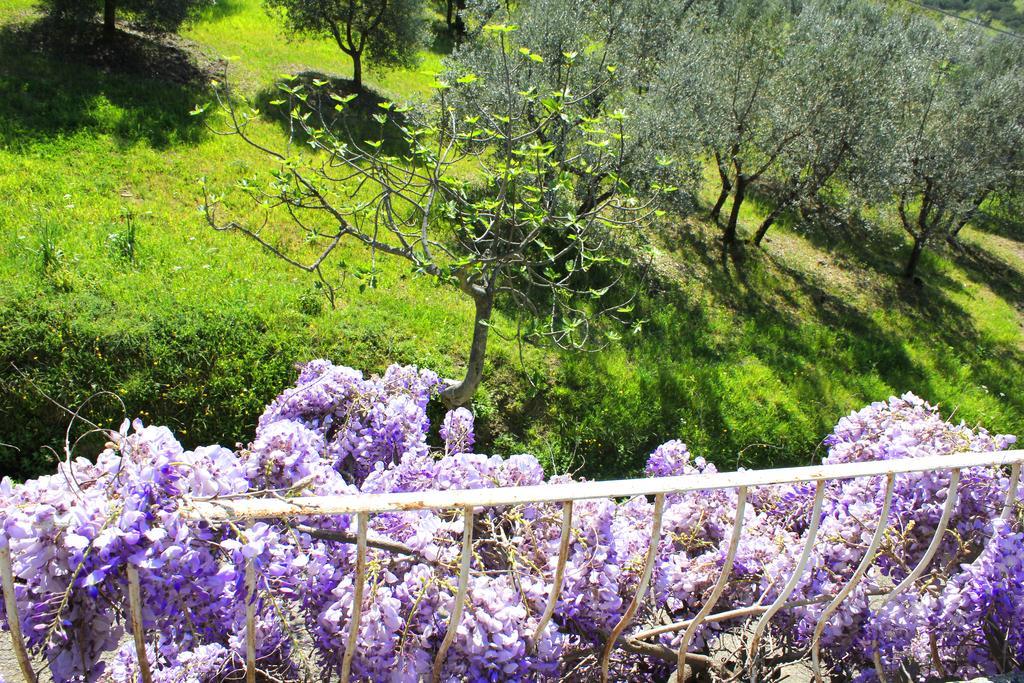Fattoria La Tavernuzza Grassina Exteriör bild