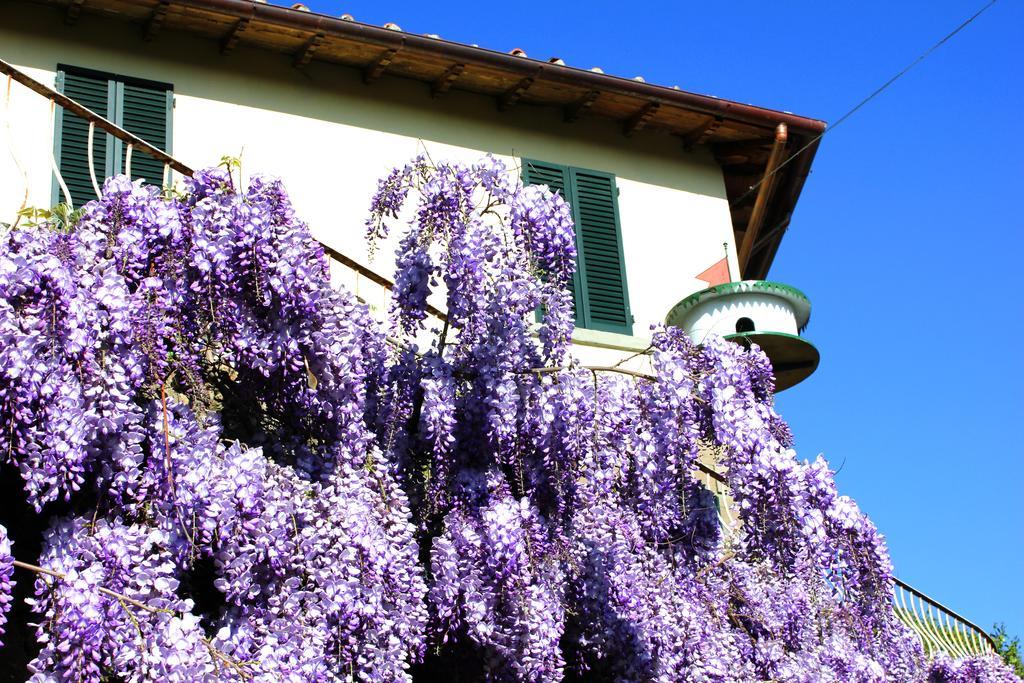 Fattoria La Tavernuzza Grassina Exteriör bild